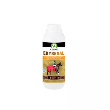 AUDEVARD EKYRENAL SOLUTION BUVABLE 1000 ML       