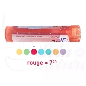 AURUM arsenicosum 5CH 15CH 30CH 7CH 9CH gránulos Tube homéopathie Boiron