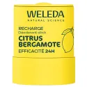 Desodorante Stick Recargable 24H Weleda 50g