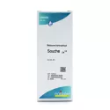 ACANTHUS MOLLIS 6DH gouttes buvables Homéopathie BOIRON