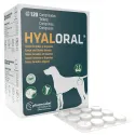 Hyaloral Beweglichkeit & Gelenke Hund Tabletten