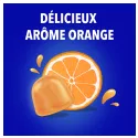 Bion 3 Énergie 60 gommes arôme orange