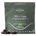 Hifas da Terra Mico-Leo Hericium Erinaceus Capsules