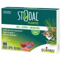 Stodal Plantes Pastilles Nez & Gorge & Bronches x36 