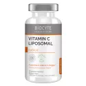 Langlebigkeit der Biozyten Liposomales Vitamin C.