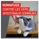 Frontcontrol-Wormer Wurmkur Katzen 2 Tabletten