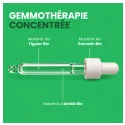Complexo de botões «Conforto Intestinal» Biológico, 30 ml, Santarome