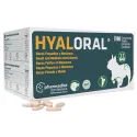 Hyaloral Beweglichkeit & Gelenke Hund Tabletten
