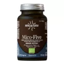 Hifas da Terra Mico-Five Synergy 5 Champignons 70 Capsules