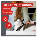 Frontcontrol-Wormer Wurmkur Katzen 2 Tabletten