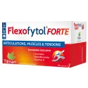 Flexofytol Forte Tabletten
