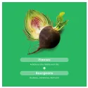Santarome «Артишок и черный редис» (органический) 20 ампул по 10 мл