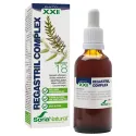 Soria Natural Regastril C-18 Gastrite 50 ml