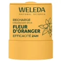 Desodorante Stick Recargable 24H Weleda 50g