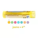 Platina 4CH Granules Tube HOMEOPATHIE BOIRON