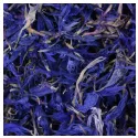 Kornblume Ganzes Blütenblatt Iphym Herboristerie Centaurea cyanus L.