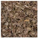 DILL SEED COMPLETE IPHYM Anethum graveolens L. Herbalism