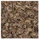 Dill Whole seed Iphym Herboristerie Anethum graveolens L.