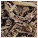 Angelika officinalis (echte) Wurzel geschnitten Kräutermedizin Angelica archangelica