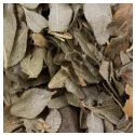 Buchu Whole Leaf Iphym Herbalism Barosma betulina
