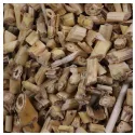 Quecke Kleines geschnittenes Rhizom Iphym Herboristerie Agropyron repens
