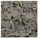 Eukalyptus Blatt geschnitten Iphym Kräutermedizin Eukalyptus globulus Labill