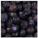 Bacche di ginepro Frutto Iphym Herboristerie Juniperus communis