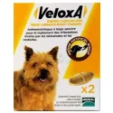 VELOXA VERMIFUGE CHIEN 2 COMPRIMÉS A CROQUER