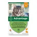 Advantage 40 anti-vlooienpipetten voor katten en konijnen