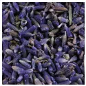 ALFAZEMA IPHYM Herb Lavandula angustifolia