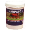 Harpago + Flexibilität Artikuläre Pferd GREENPEX