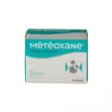 Météoxane Pain Buik opgeblazen gevoel met Doos met 60 capsules