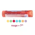 MUQUEUSE RHINO PHARYNGEE pellets Boiron homeopathy