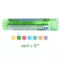 VENUS MERCENARIA 4CH 5CH 7CH 9CH 15CH 30CH Granules Boiron Homéopathie