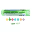 Graphites 5CH Granules Tube HOMEOPATHIE BOIRON