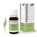 Organic essential oil Tea tree Melaleuca alternifolia PRANAROM