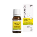 Aromatico pacifica serata estiva mix trasmette repellente per zanzare