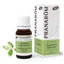 Essentiële bio gaultherie geurstof Pranarom gaultheria fragrantissima