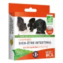 Vetobiol Comprimés Bien-être intestinal Purge Chiot Petit Chien