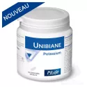 Pileje Unibiane Organic Potassium 120 Tablets