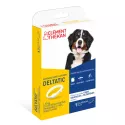 Deltatic Pest Control Collar Dog Clement Thekan