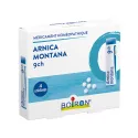 Arnica Montana 9 CH Boiron 4 unidoses Homéopack