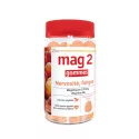 MAG 2 Gummies au magnésium 45 gommes Cooper