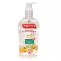 Assanis Hydroalcoholic Hand Gel Christmas Spices
