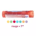 Gránulos Tube foenum graecum 5CH 15CH 30CH 7CH 9CH homéopathie Boiron