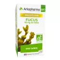 Arkocaps Fucus Organischer Sättigungseffekt