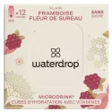 Waterdrop Microdrink Cubes Flair x 12