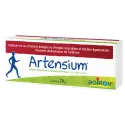 Boiron Artensium Gelenk-Muskelschmerz-Salbe
