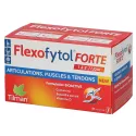 Flexofytol Forte 28 tabletten