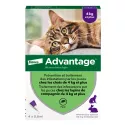 Pipetas antipulgas Advantage 80 para gatos y conejos